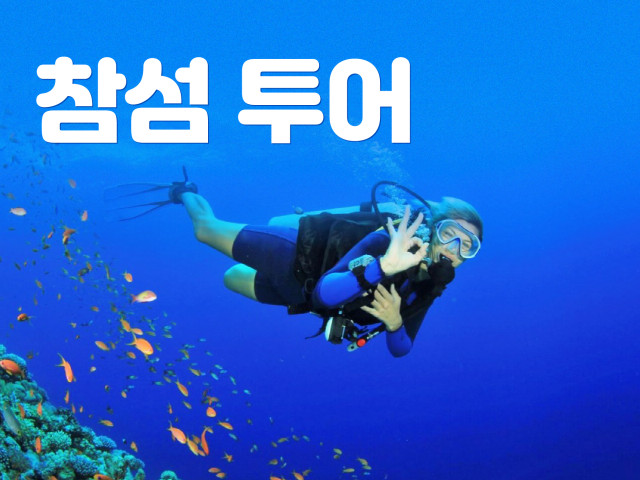 참섬 호핑 투어