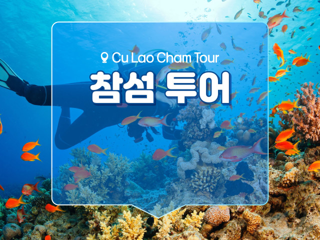 참섬 호핑 투어