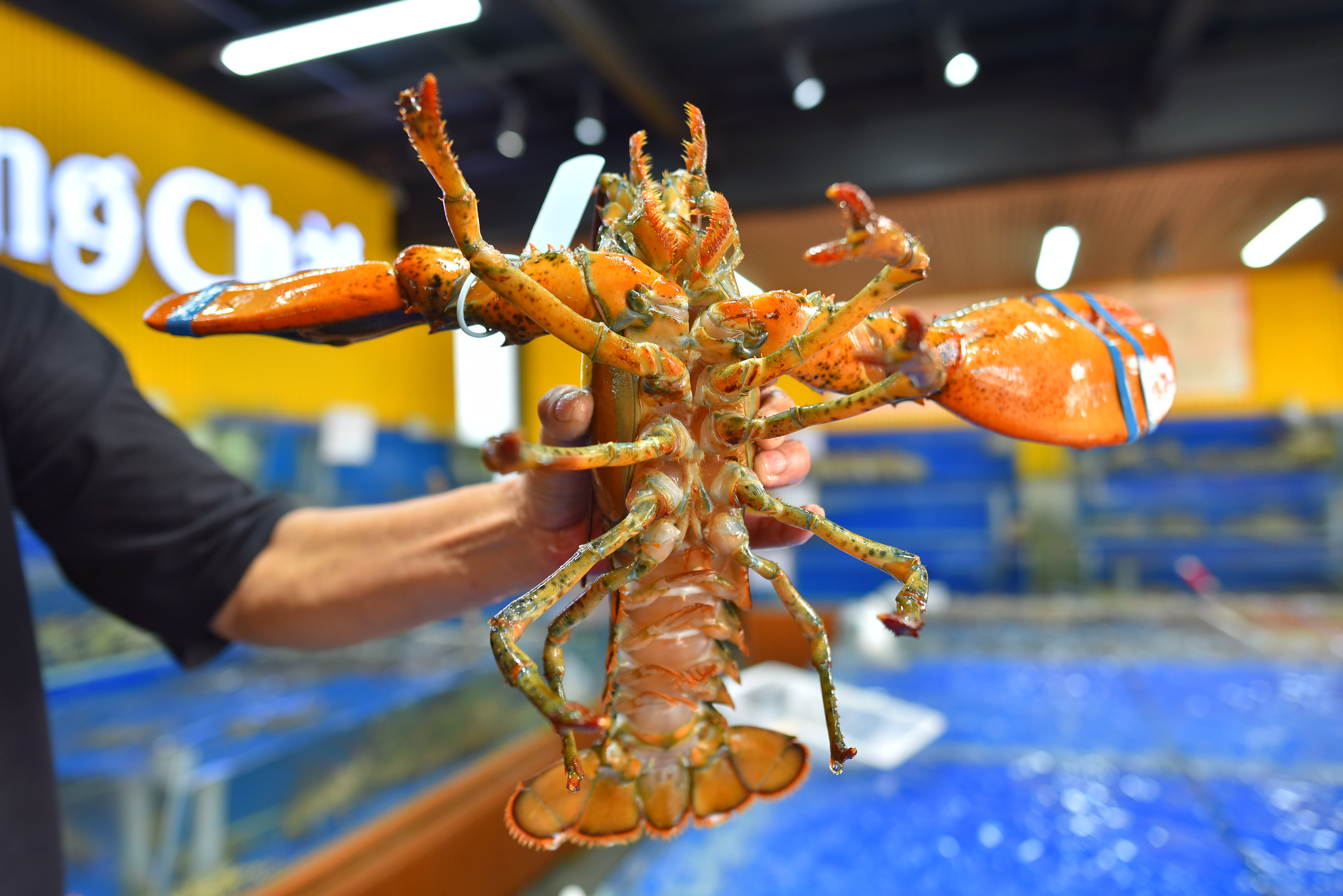 랑짜이 해산물식당